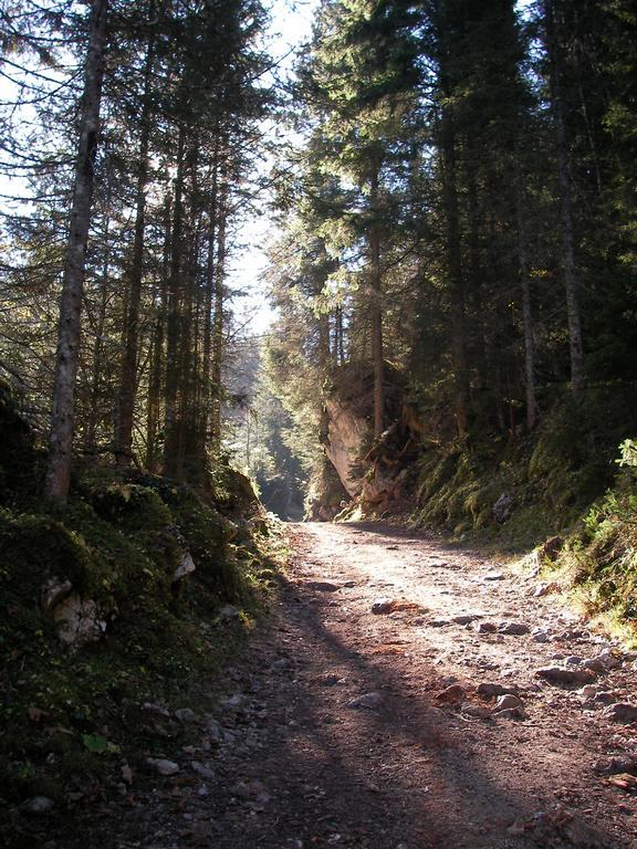 Gaestehaus Attenhauser อุนเทอร์อัมเมอร์เกา ภายนอก รูปภาพ